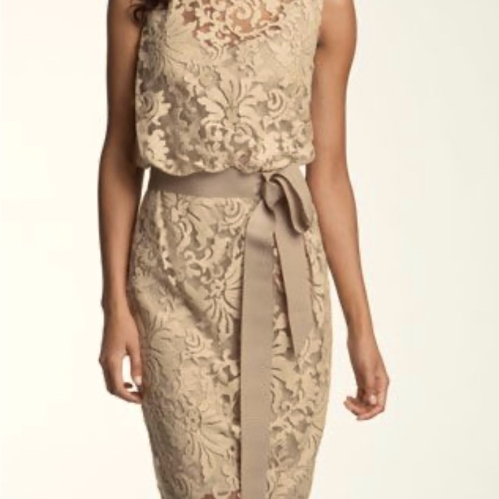 Tadashi Shoji Champagne Lace Holiday Dress Size 8